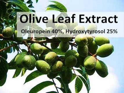Oleuropein-2 Oleuropein-2
