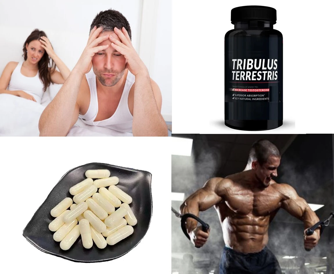 Tribulus terrestris extract 8