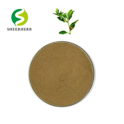 Raaka Ashwagandha-jauhe